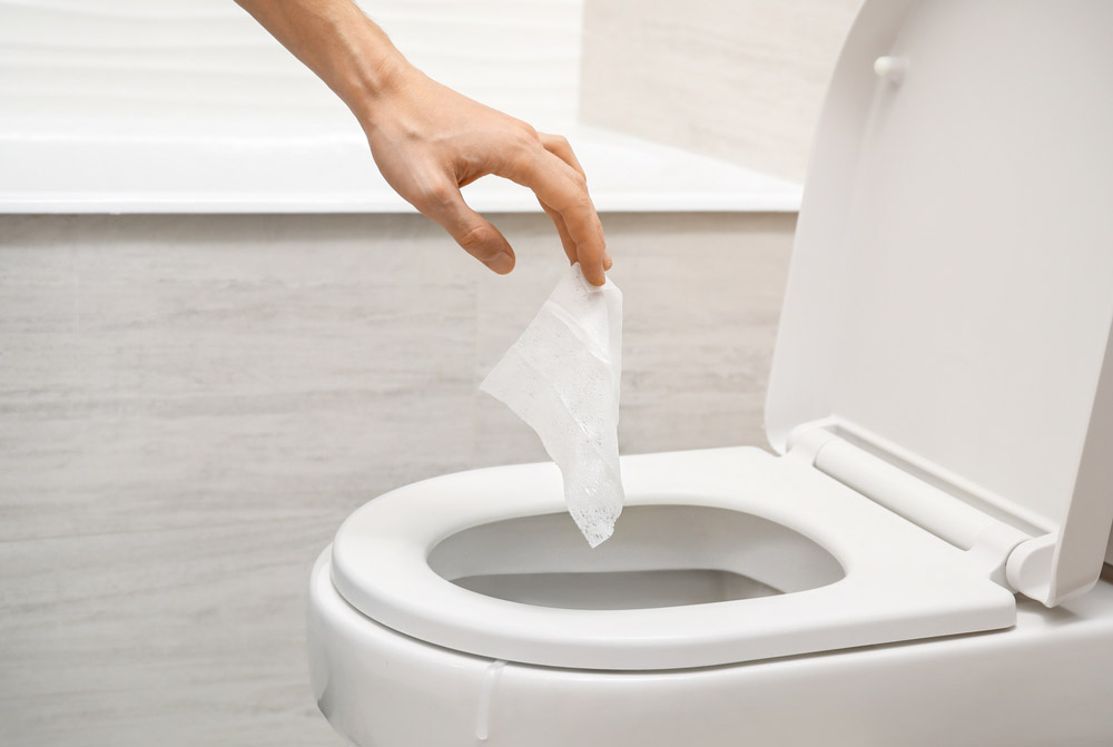 flushable wipes flushable wipes