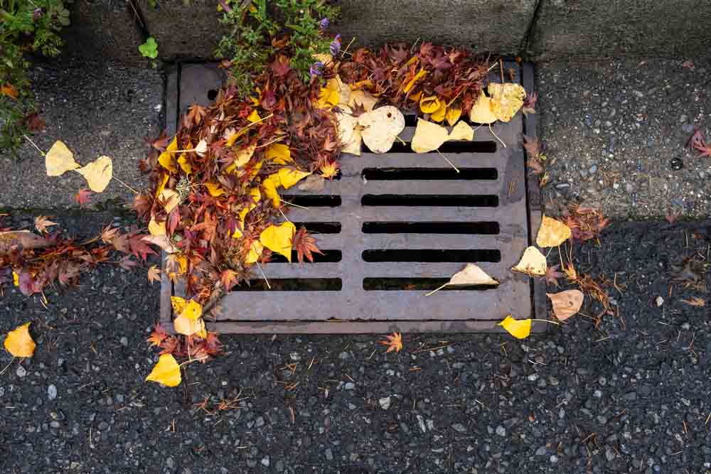 autumn foliage in outdoor drain Cuyahoga Falls, OH