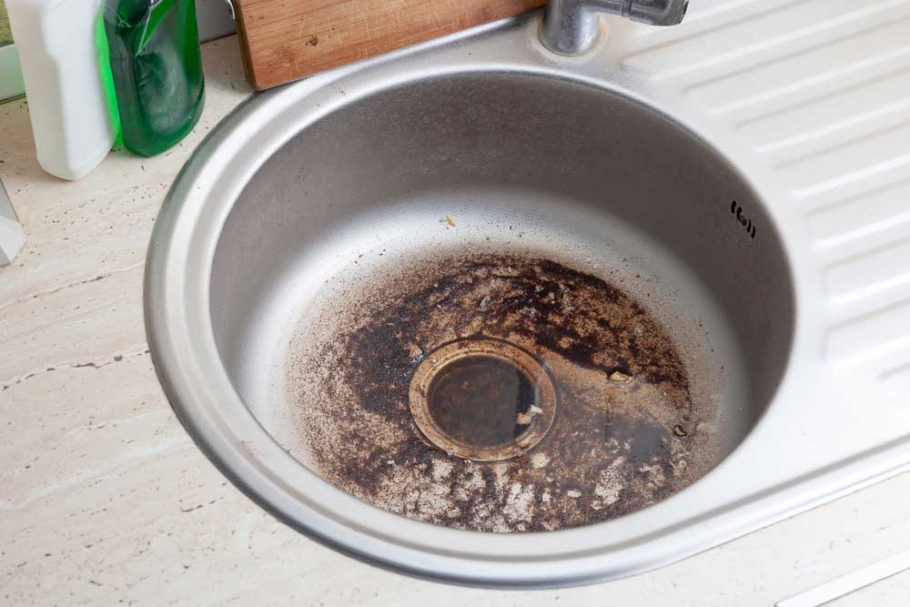 mold around drains in Akron, OH