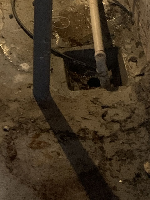 Professional Sewer Line Repair