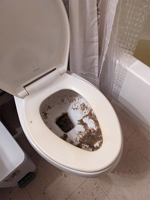  Toilet Backup Services