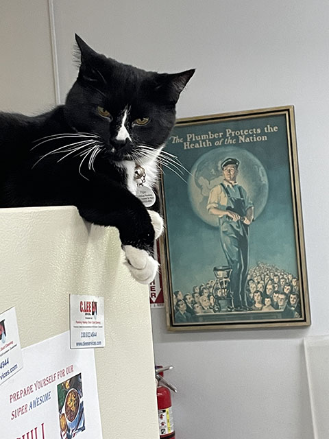 Pet-Friendly Local Drain Cleaning Company