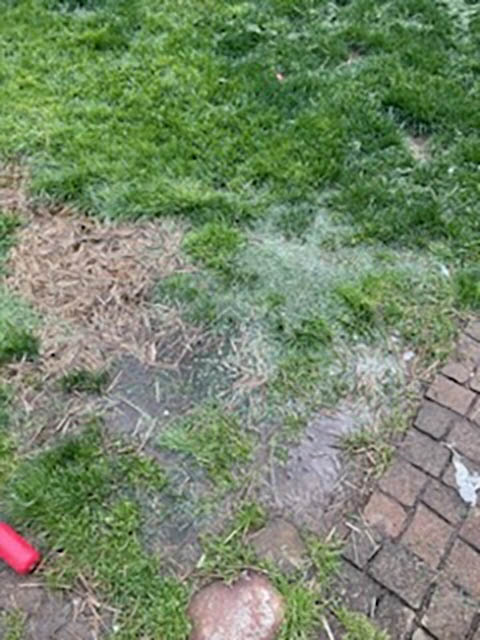 Quality Storm Drain Services