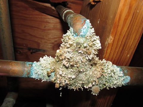 Reliable Pipe Corrosion Service