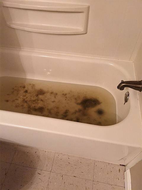 Sewage Backup Services