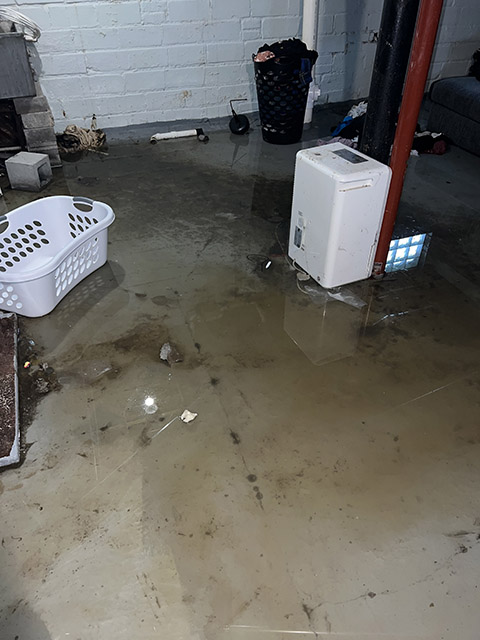 Sewer System Backup Services