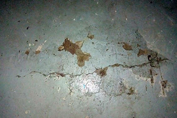 Trusted Water Leak Services