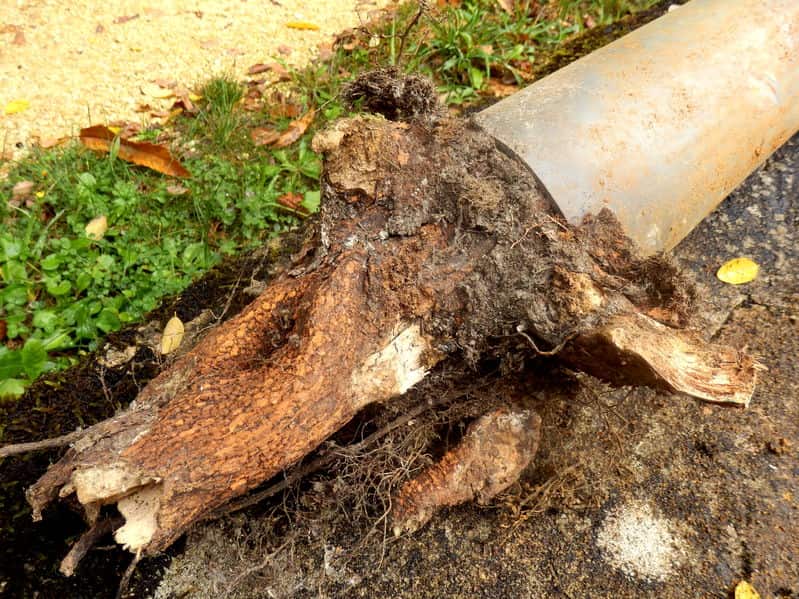 drain cleaning in Cuyahoga Falls, OH