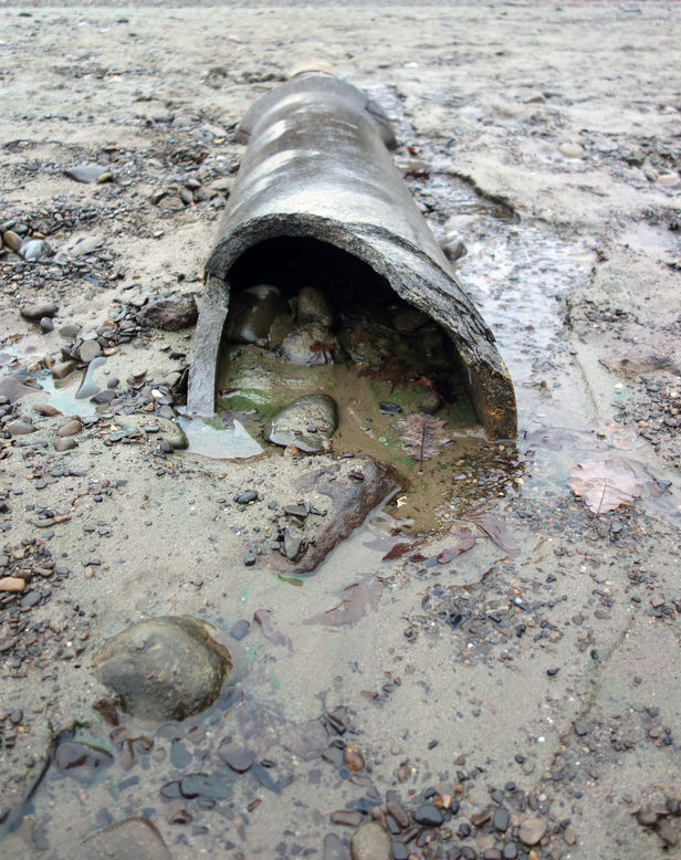 sewer repair services