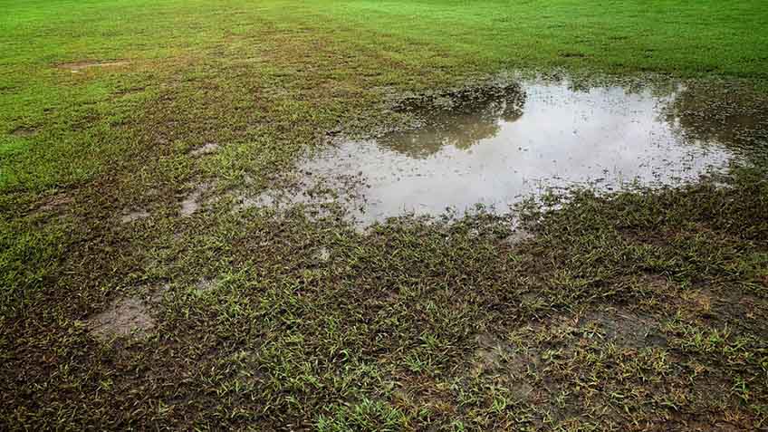 soggy soil on the yard